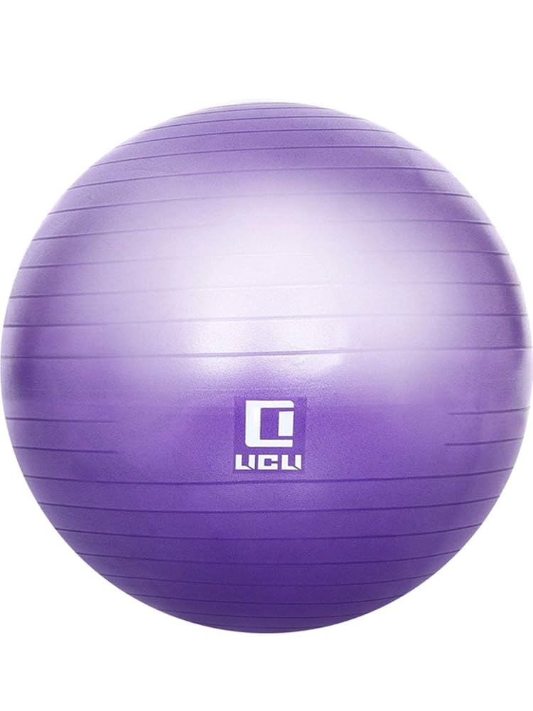 バランスボール 65cm ポンプ付き バランスボール 65cm(リングとポンプ付) |スポーツオアシス公式通販